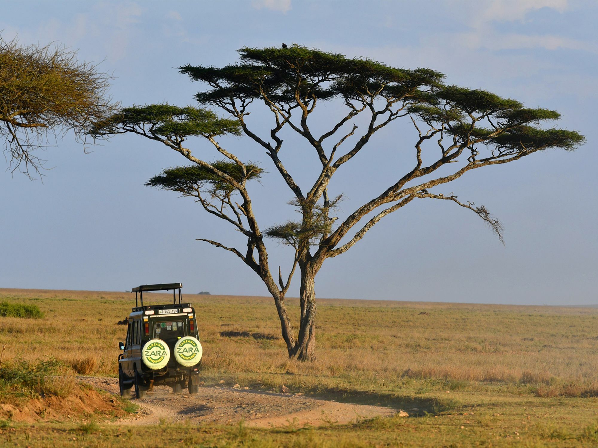 Serengeti Safari Lodge Luaran gambar